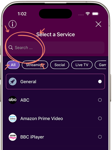 Step 3: Search for Netflix and Connect